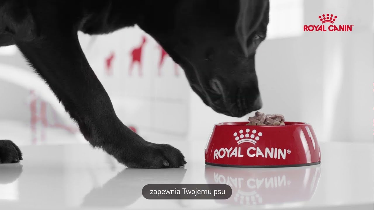 ROYAL CANIN&reg;  - karma opracowana z myślą o wspieraniu zdrowego wzrostu Twojego szczenięcia