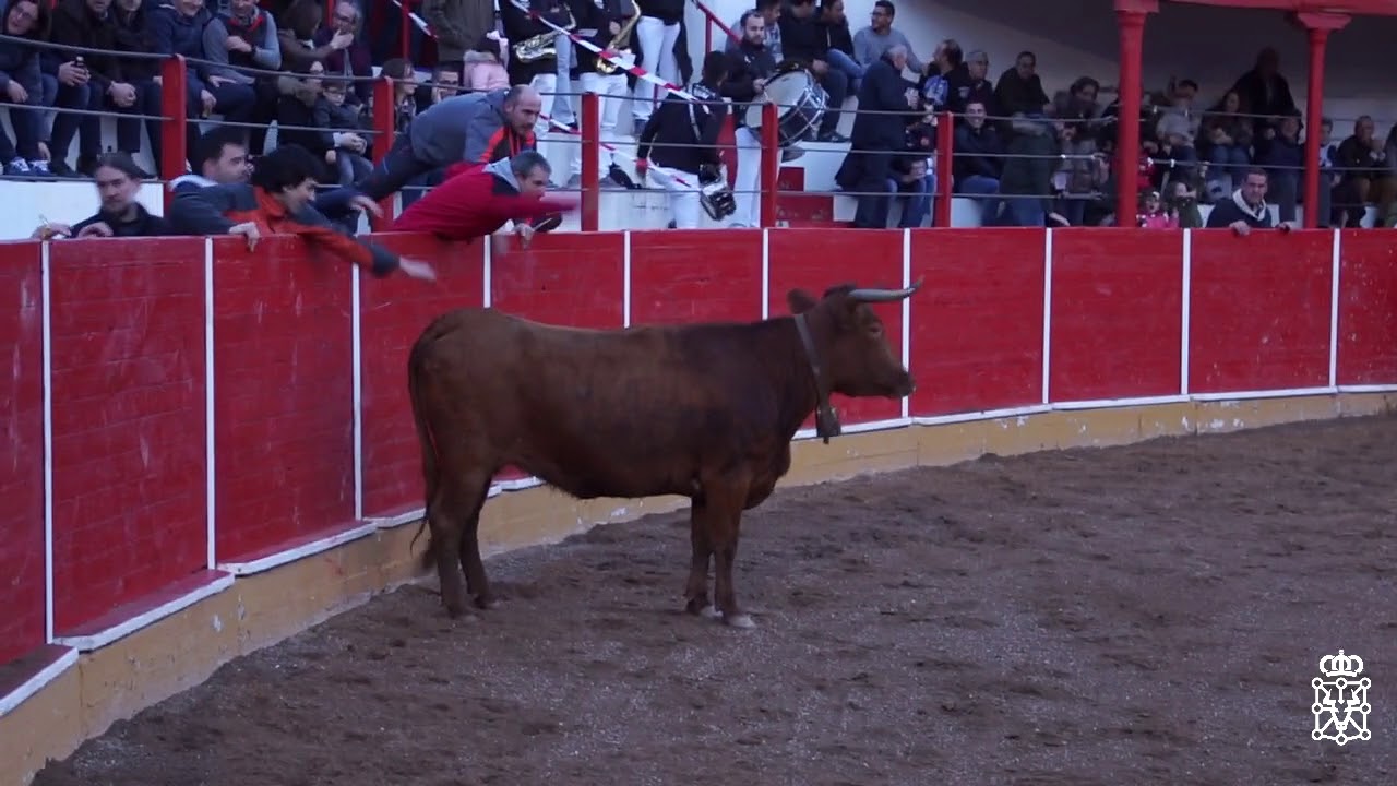 Fitero (Na) ganadería Estenaga 16/03/2018