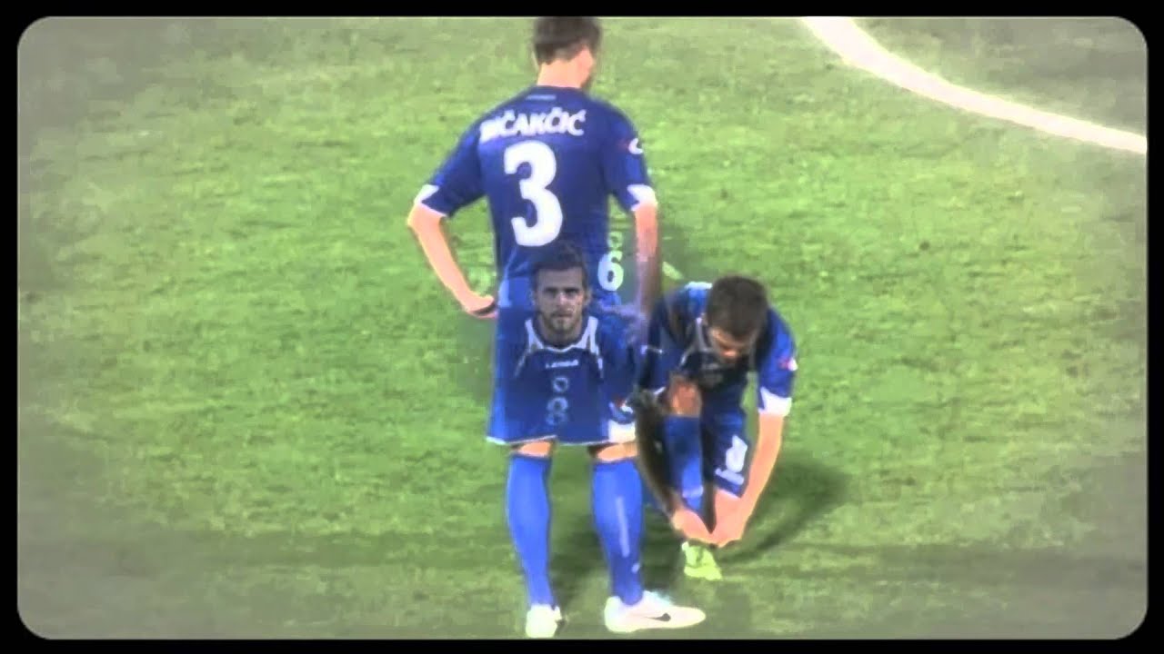 Ermin Bicakcic Zmaj