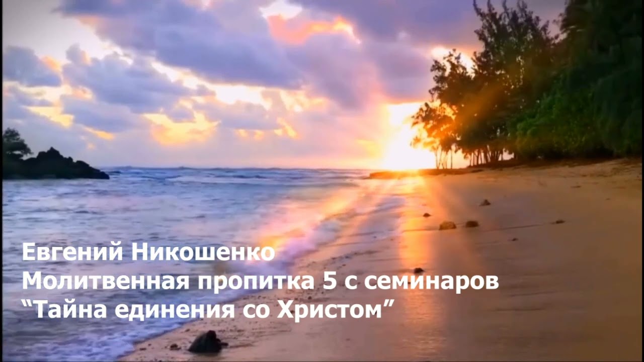 Молитвенная пропитка 5 - Евгений Никошенко (с семинаров 
