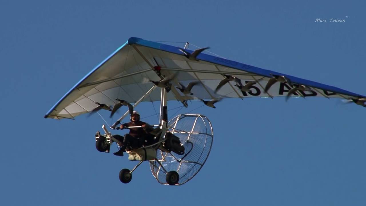 Christian Moullec Flying with Birds Fantastic !!!!!