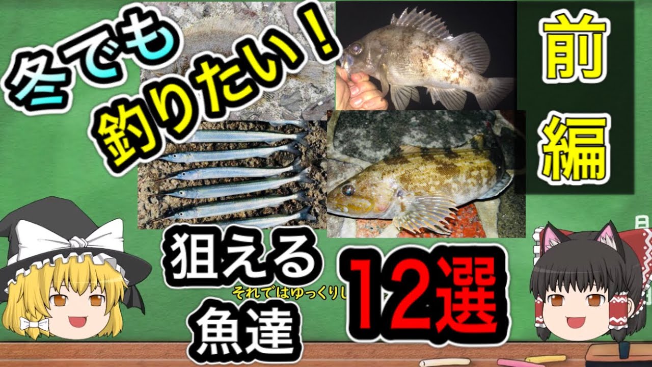 冬に狙える魚達12選　前編