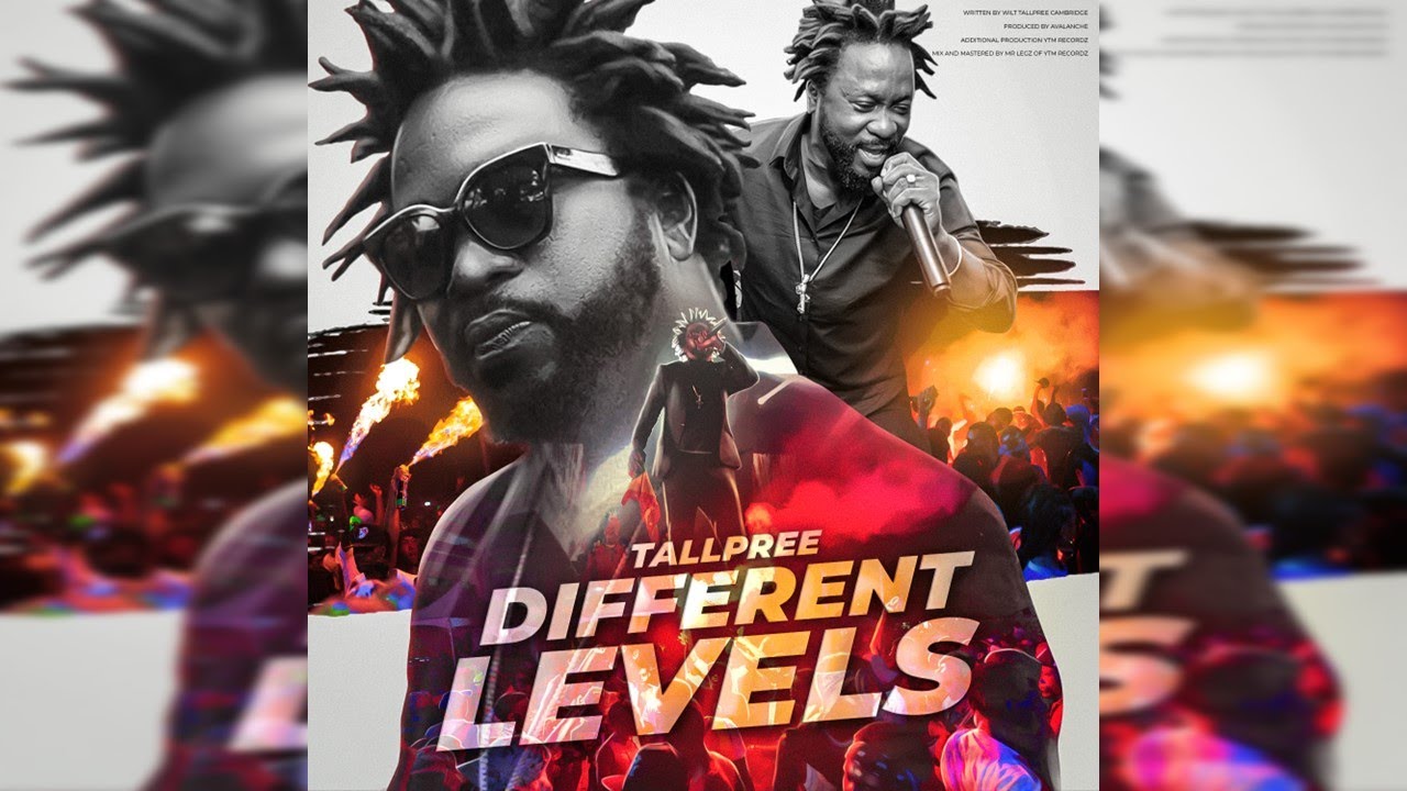 Tallpree - Different Levels {2024} Visualizer