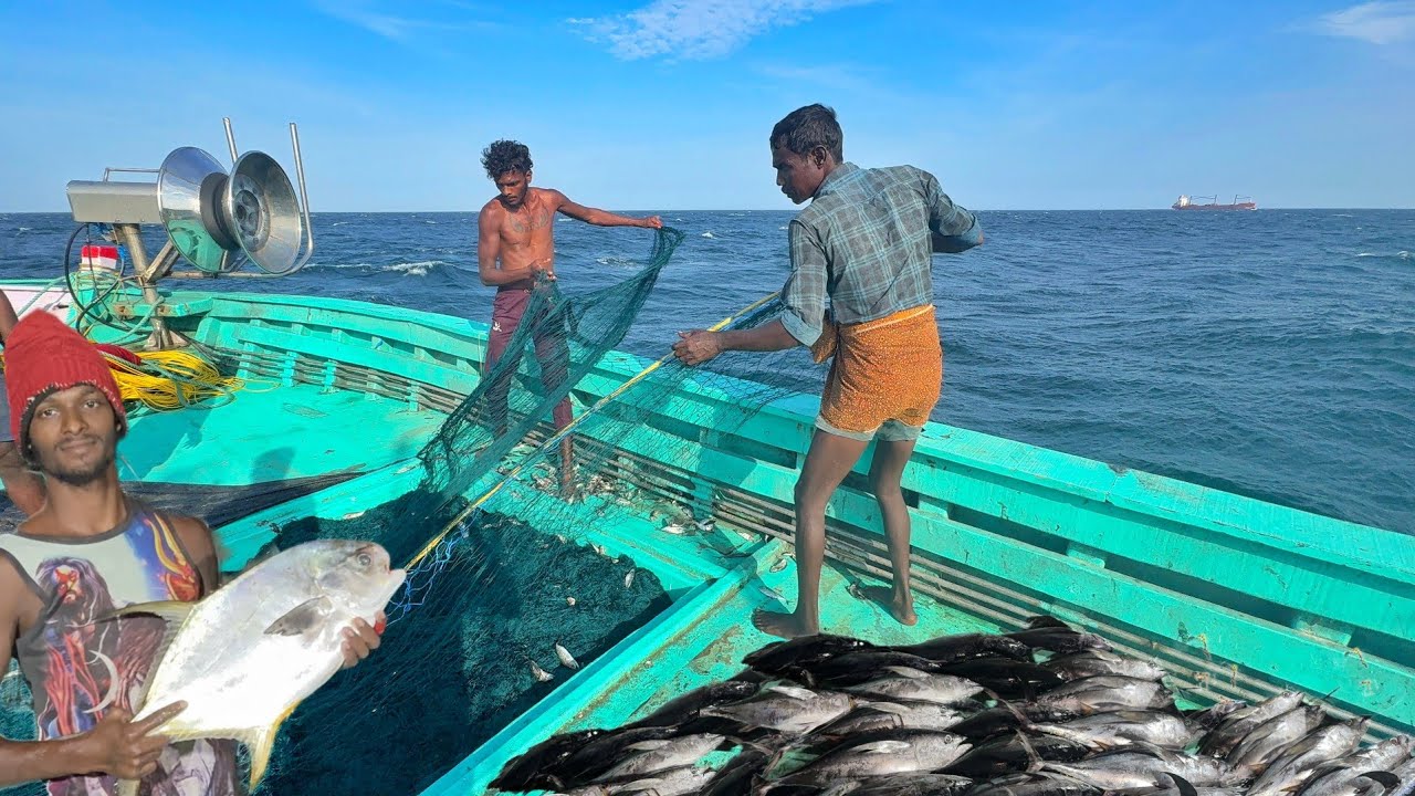 Wow❗Fourth Day 🤩 Great Day 💢 Huge Amount of King Fishes & Tuna Fishes 