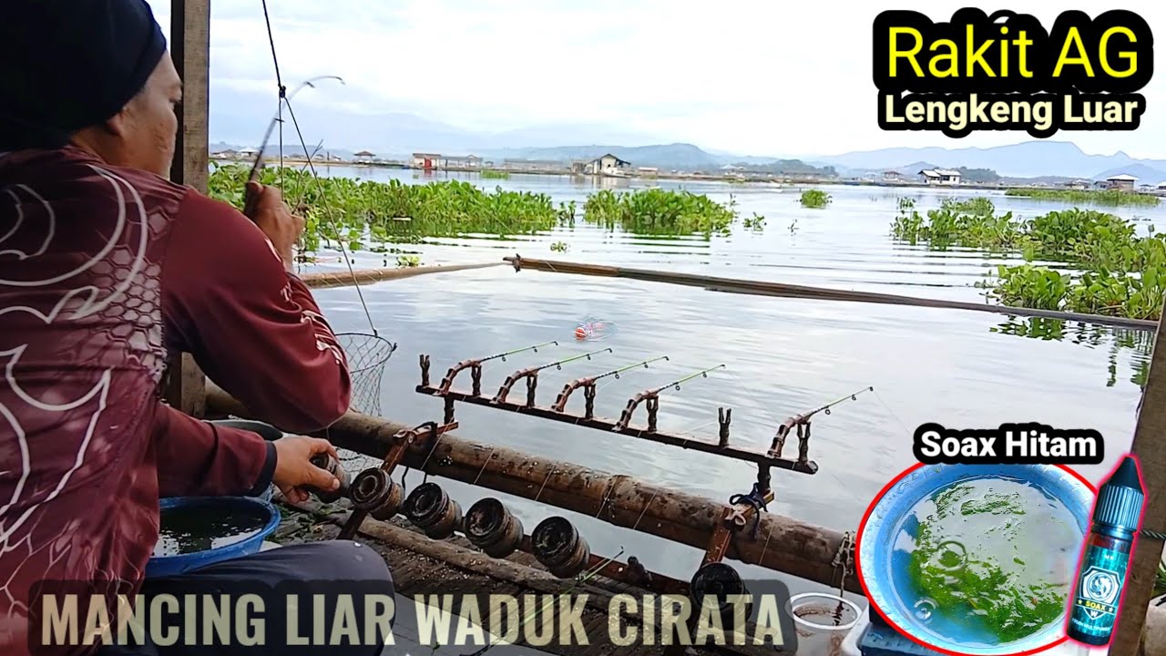 Tes essen soax di rakit AG pakai joran timbang mini 35 Cm || MANCING CIRATA TERBARU