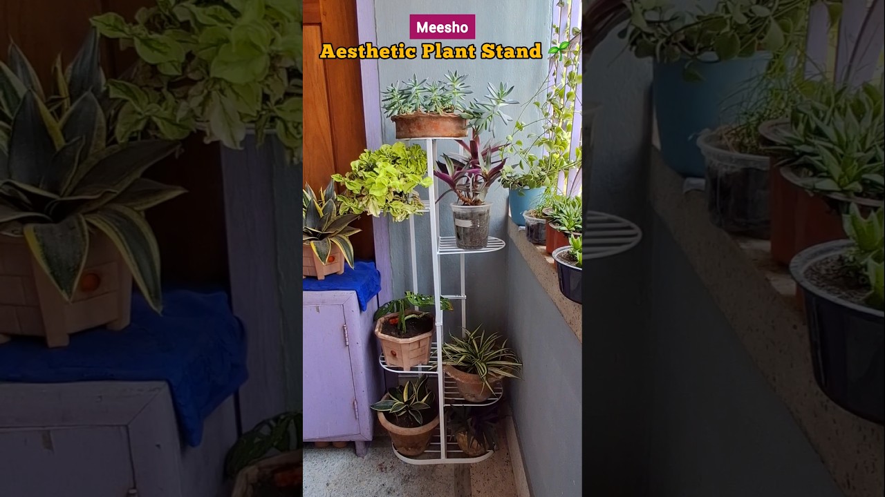 Aesthetic Plant Stand from Meesho #shorts #viral #trending