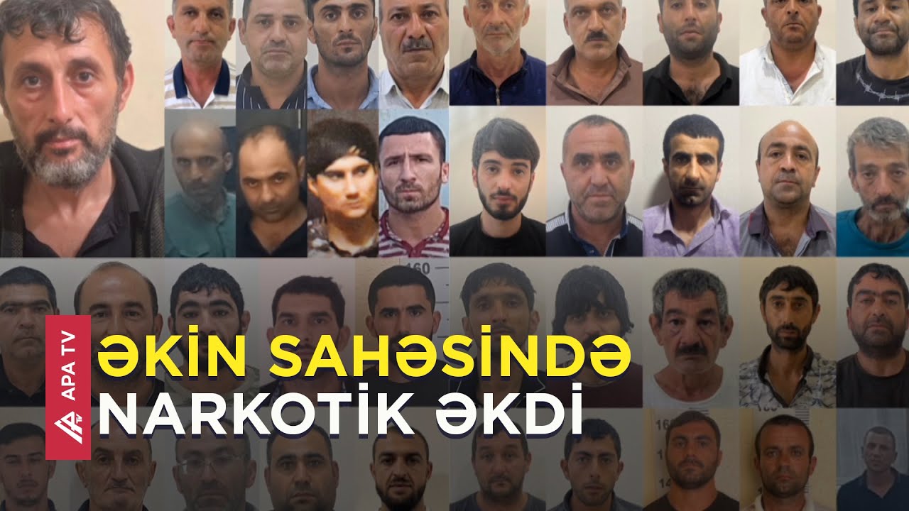 Polis Ağcabədidə əməliyyat keçirdi, 39 nəfər saxlanıldı - APA TV