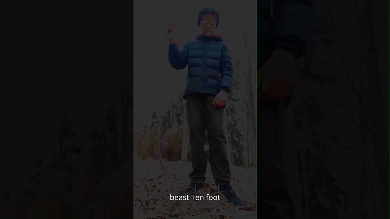 The Beast