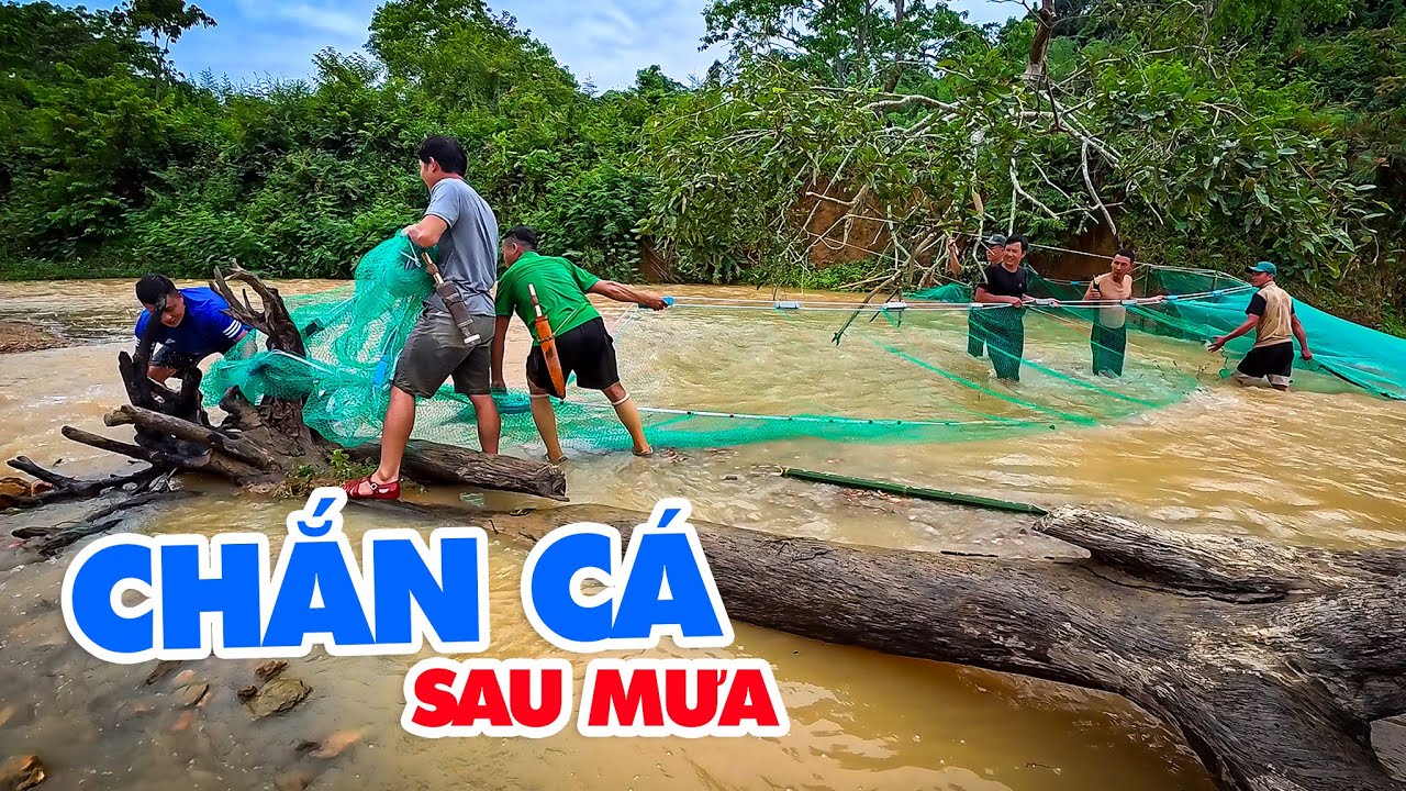 Chắn Cá Mùa Lụt Đầu Tiên Năm 2025