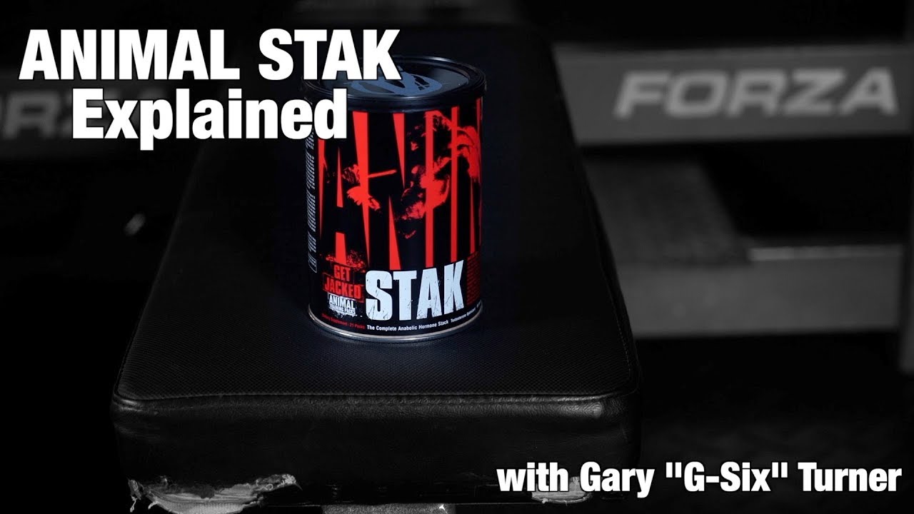 ANIMAL STAK Explained with Gary 