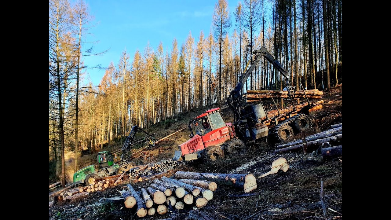 Valmet 860.4 • Forstbetrieb Arnold • Part-2 • Forwarder • Rückezug • Logging