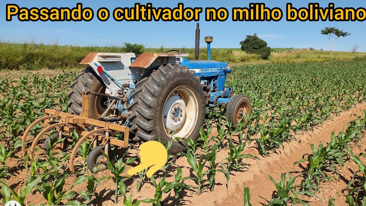 Passando o cultivador e fazendo aplicação de inseticida no milho boliviano Agri-330 antes da chuva