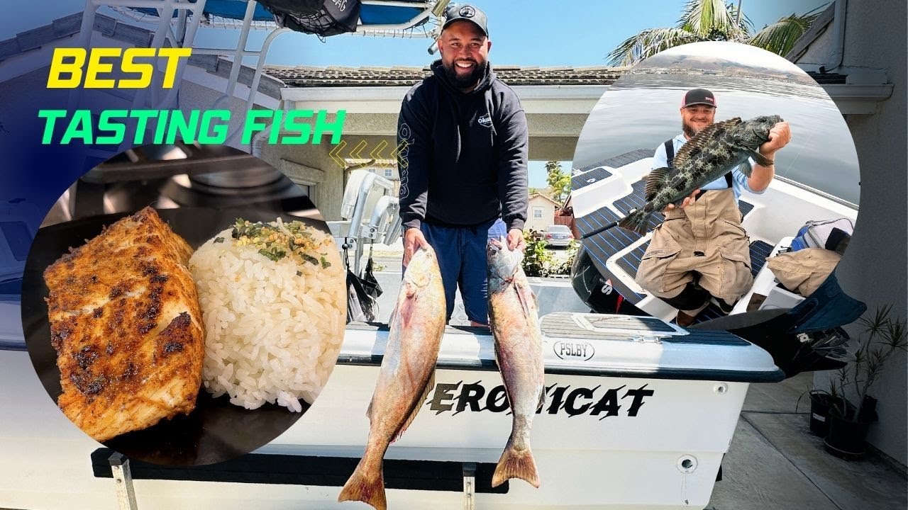 Мы наконец-то их поймали! Поймайте и приготовьте белого морского окуня