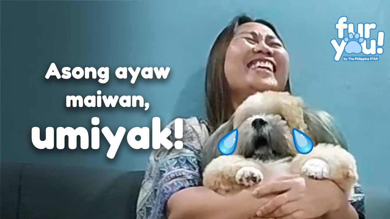 Iyak agad ang asong ito nang malamang aalis ang fur dad!
