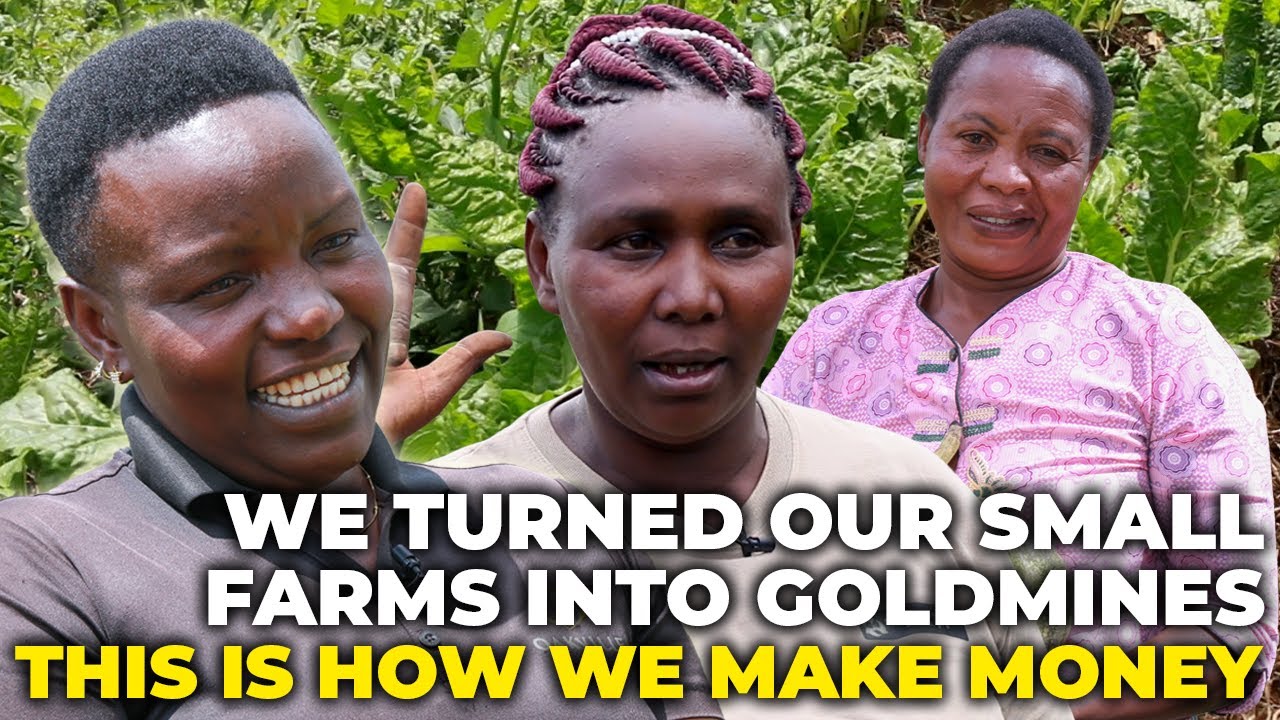 How to Make Money on a Small Farm: Small Scale Vegetable Farming