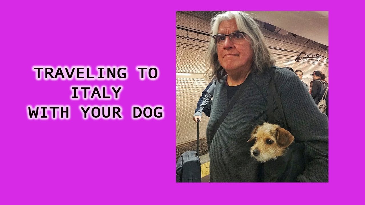ITALY: Traveling with your Dog to Italy