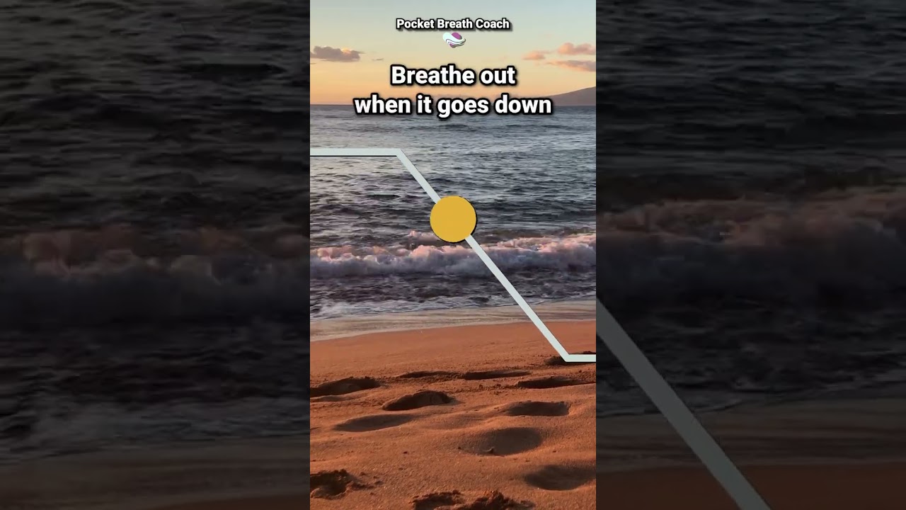 Rest and Digest Breathing | 4-4-6-2 Pattern to Calm Your Nervous System