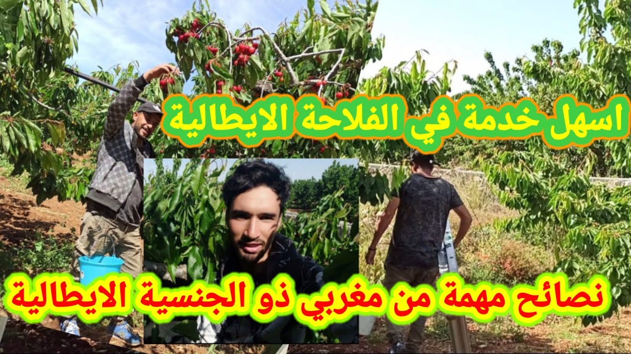 اسهل و احسن خدمة في الفلاحة في ايطاليا 😍💪، نصائح قيمة من مغربي ذو الجنسية الايطالية