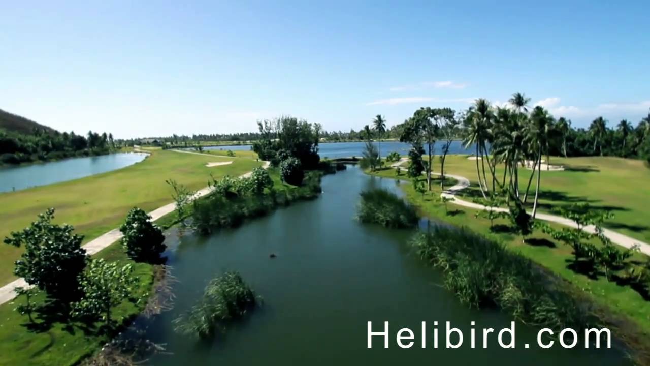 Reel Helibird