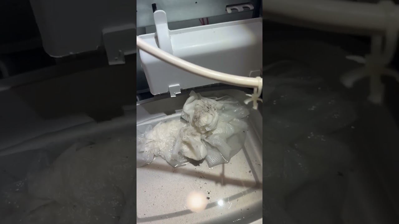 Hotpoint  Condenser Dryer water tank empty and leaking at bottom of machine