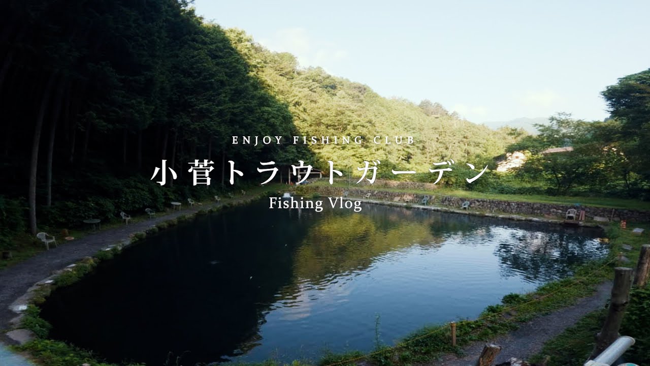 【小菅トラウトガーデン】 甲斐サーモンレッド | 緑豊かなポンドが気持ちいい | エリアトラウト【Vlog】 #fishing #釣り #旅 #菅釣り #アウトドア #エリアトラウト #vlog