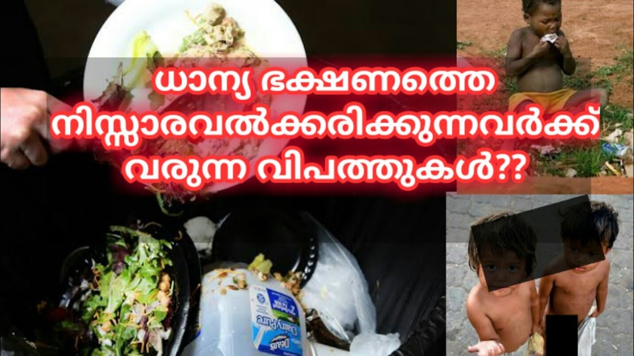 വിശപ്പ് നൽകുന്ന പാഠം | savefood malayalam | വിശപ്പ് | vishapp | ഭക്ഷണം പാഴാക്കിയാൽ