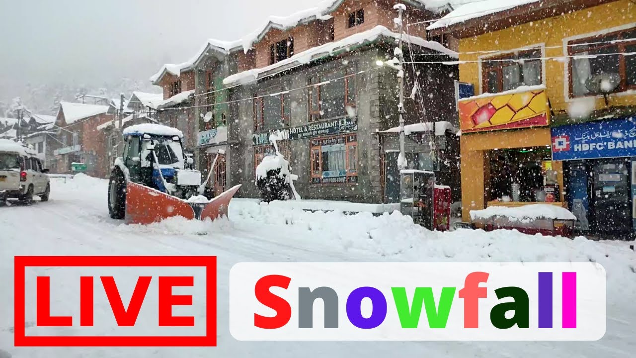 Live Snowfall Kashmir | Heaven on Earth | Barbeque Party in Heavy Snowfall #Snowfall #LiveSnowfall