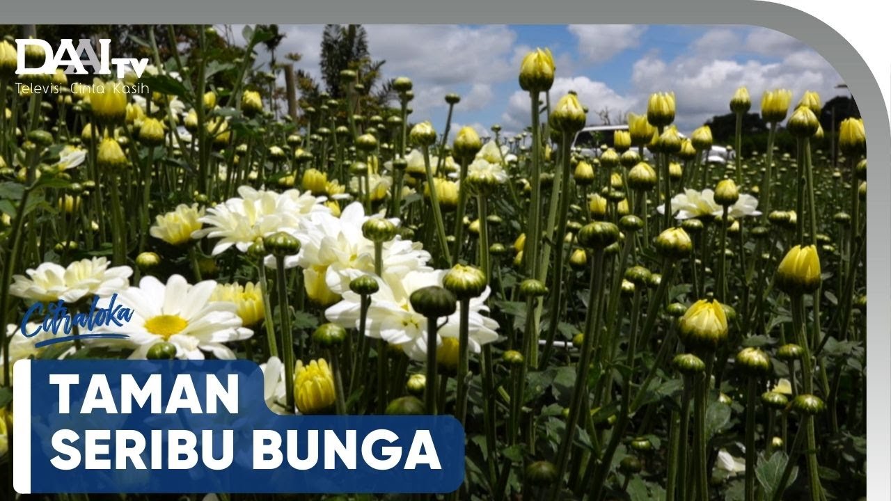 Taman Seribu Bunga | Citraloka