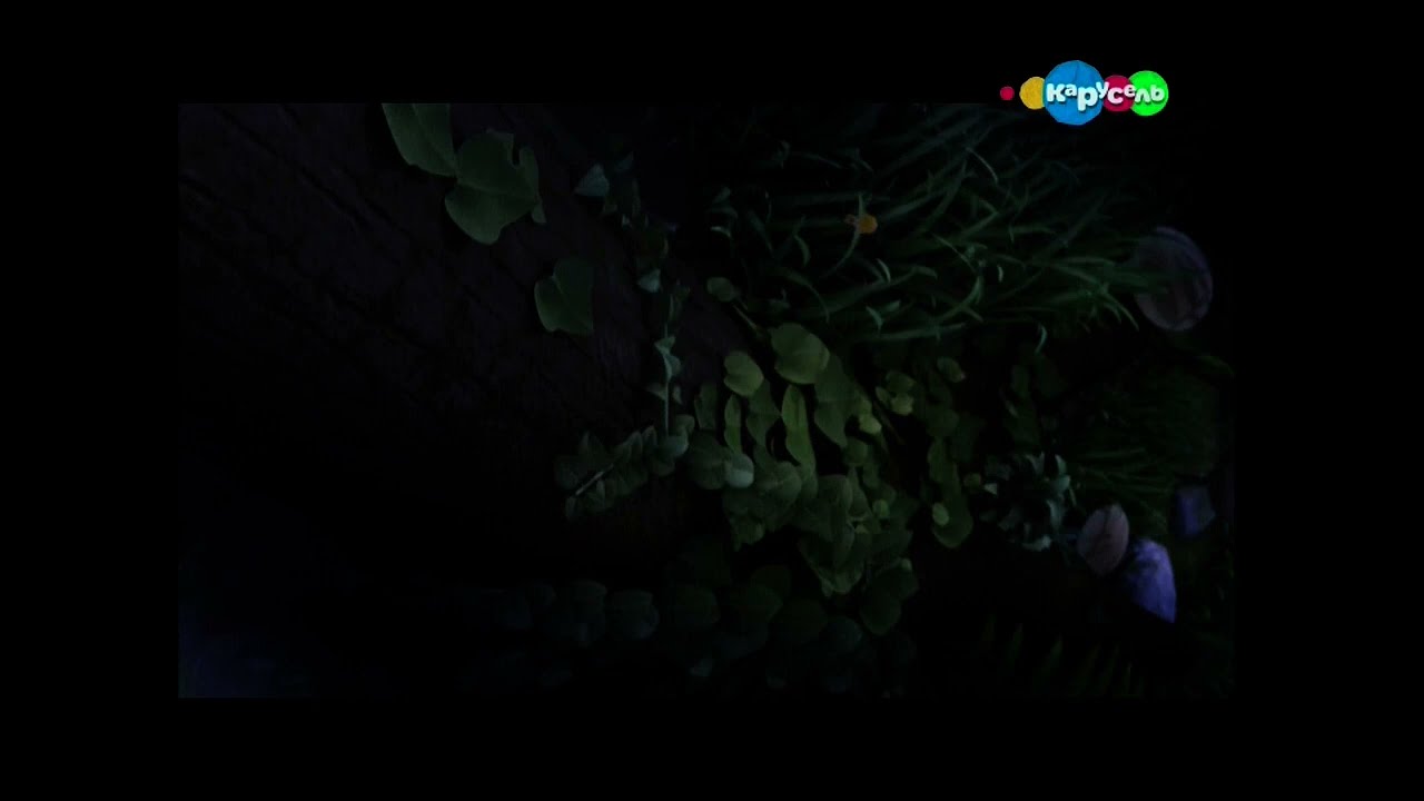 [Yadif][50fps] Фрагмент эфира (Карусель, 06.02.2015 10:53)