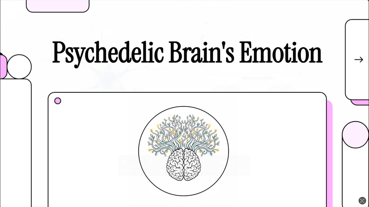 The Psychedelic Brain: Emotion & Neuroplasticity (Moujaes et al., 2025, VIII)