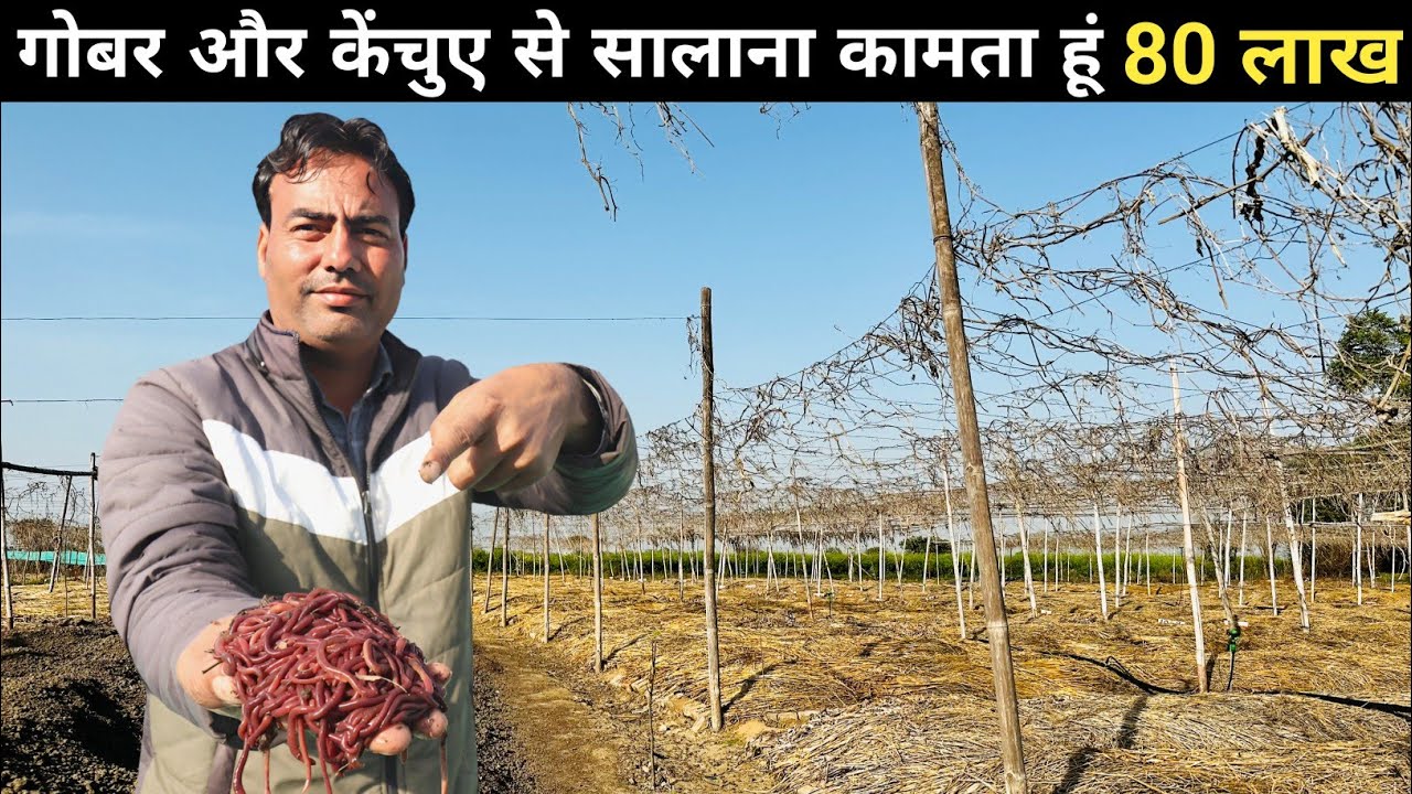 हरियाणा के इस किसान का कामयाब Vermicompost Business | 2 To 1500 Vermicompost Beds