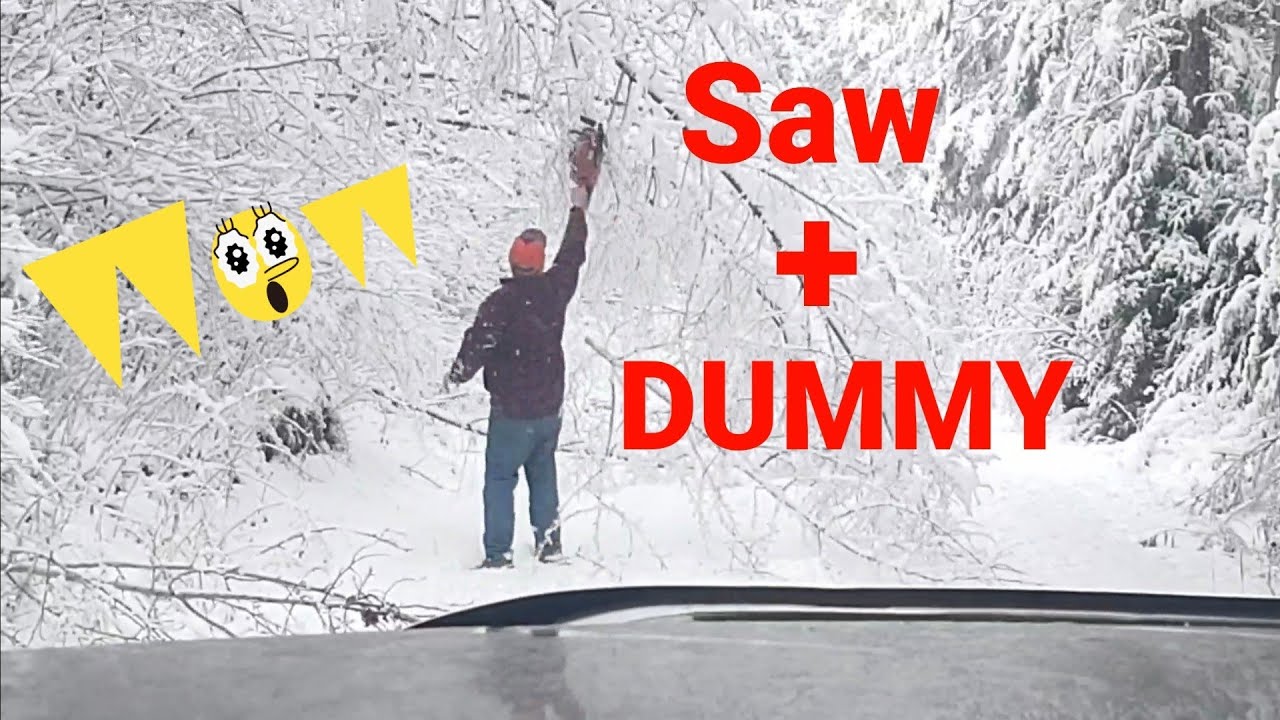 Mn Deer Camp 2021 Devastating Storm