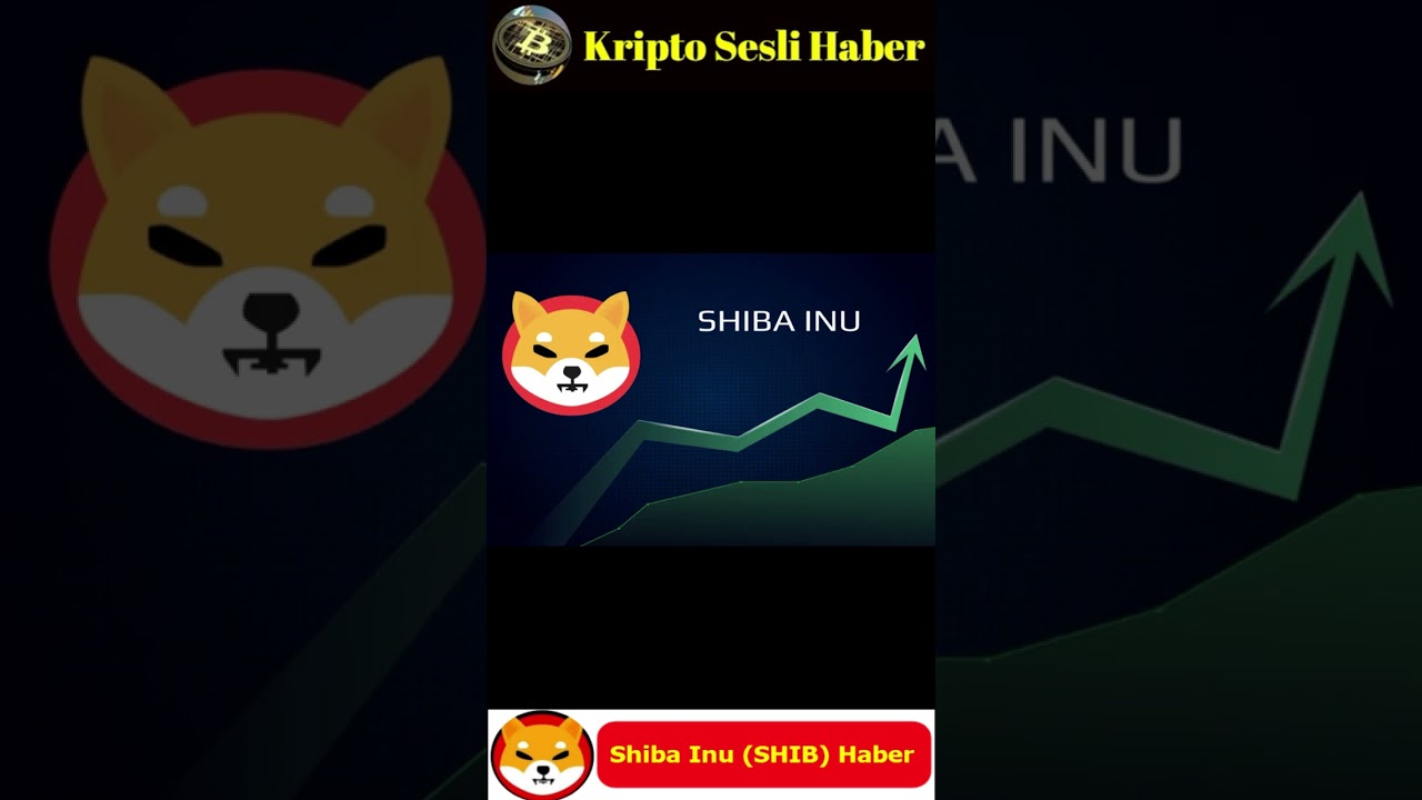 Kripto Sesli Haber | Shibarium İ&ccedil;in &Ouml;zel Shiba Yakım Portalı