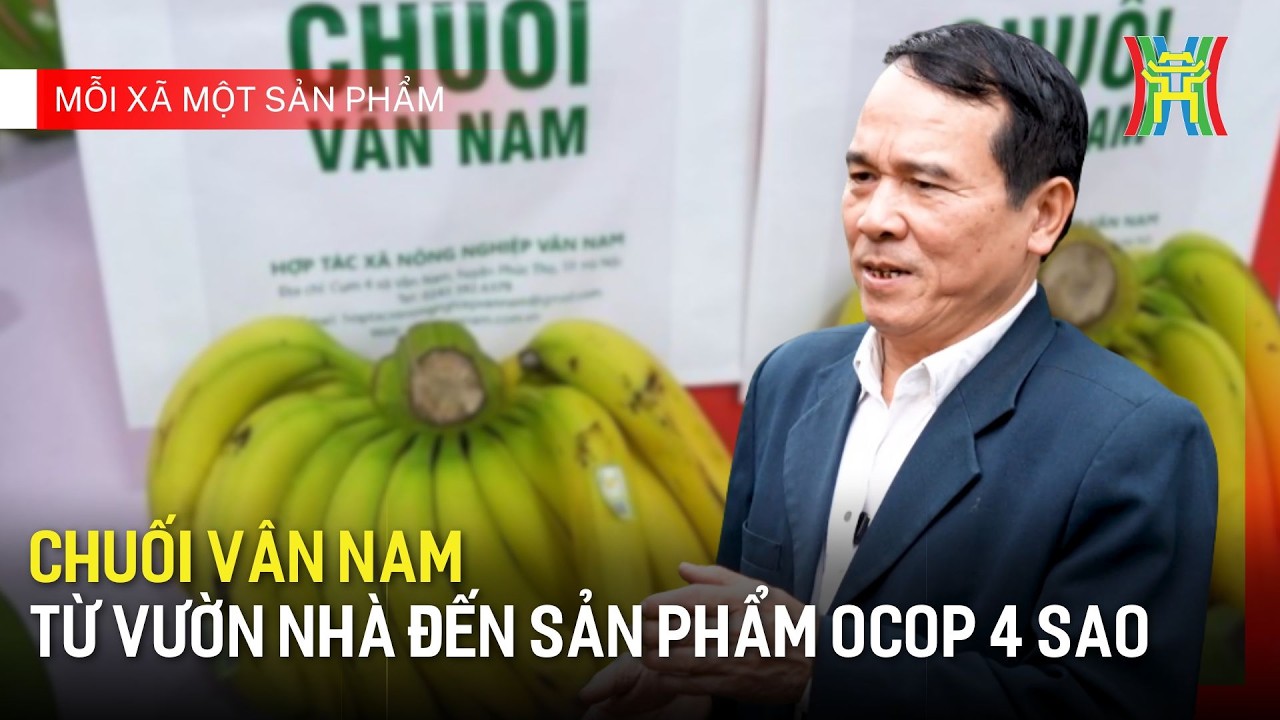 Chuối Vân Nam từ vườn nhà đến sản phẩm OCOP 4 sao | Mỗi xã một sản phẩm