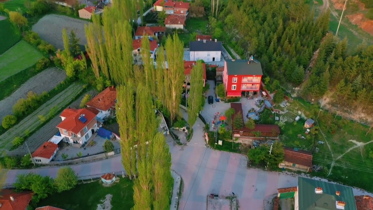 Sarıkız Domaniç Kütahya