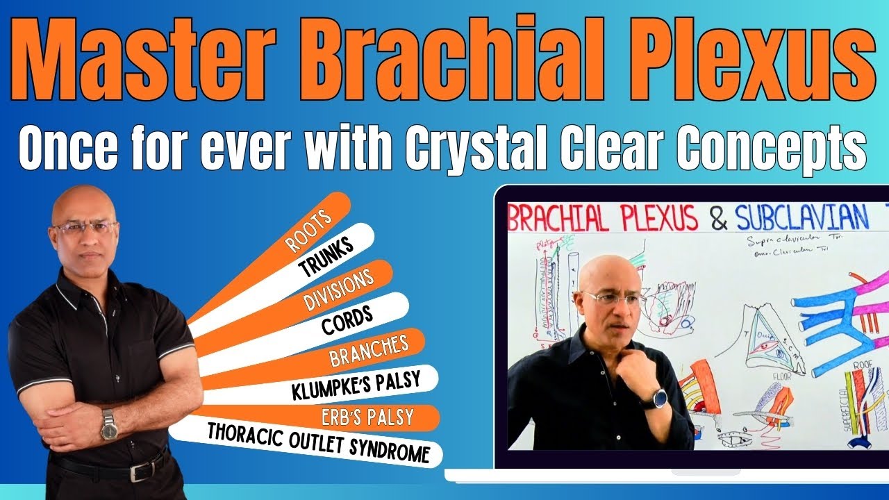 Brachial Plexus Anatomy | Basics to Clinical Application