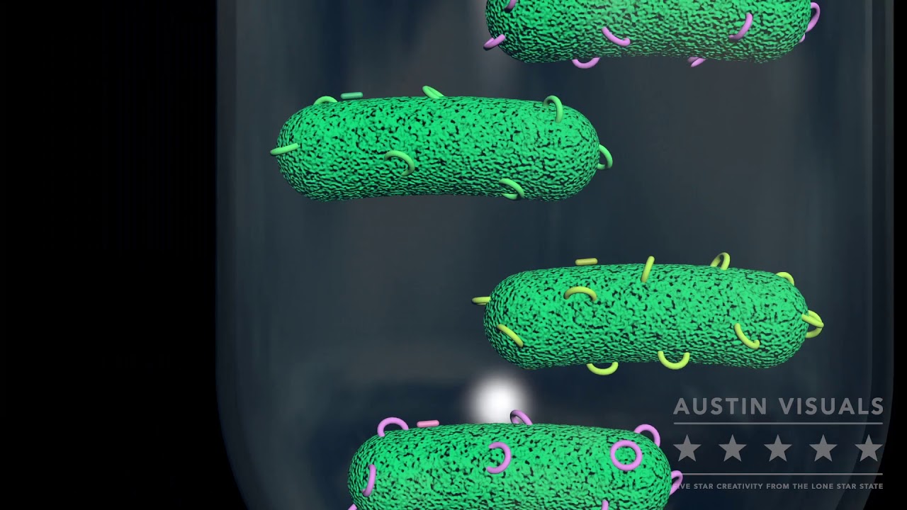 Peptide 3D Animation - Austin Visuals 3D Animation Studio