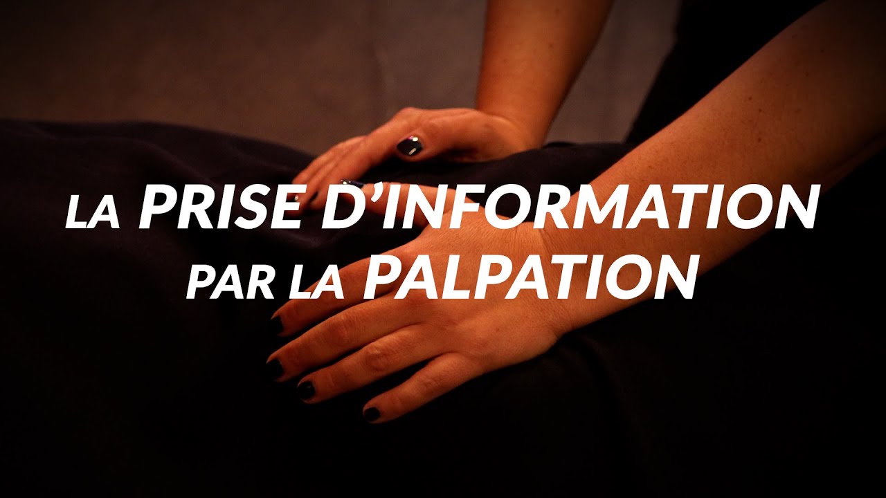 Anamnèse par la palpation : la technique essentielle des pros !