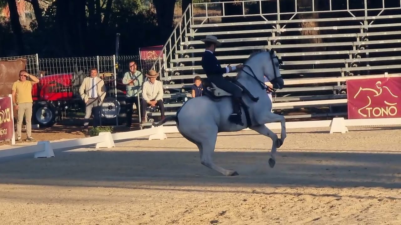 Álvaro Teba del Pino con NEPTUNO en la Eliminatoria del Campeonato de España de Doma Vaquera 2023