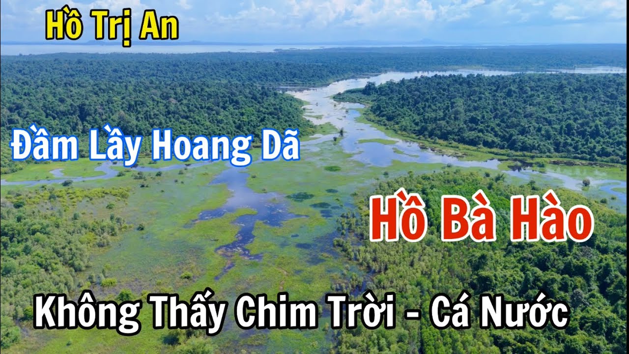 Toàn cảnh hoang sơ hồ Bà Hào ở giữa rừng và hàng rào điện bảo tồn voi rừng ở Mã Đà Đồng Nai.