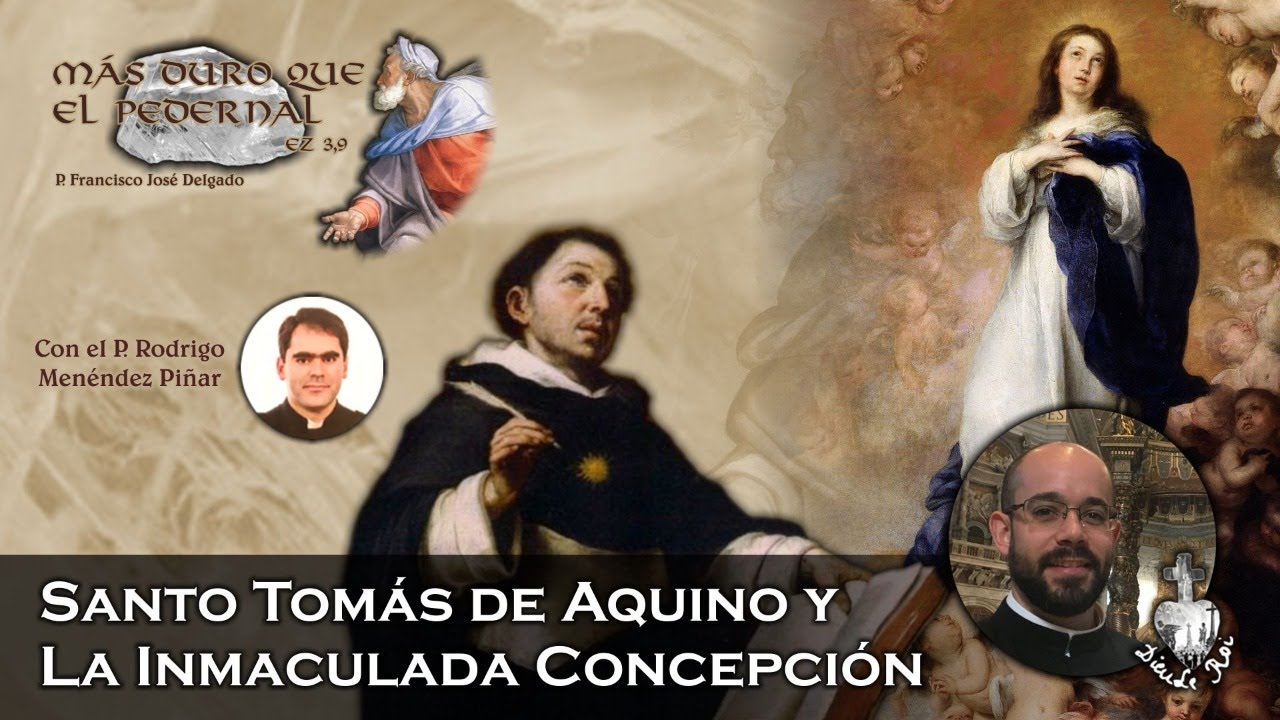 Santo Tomás y la Inmaculada Concepción - Más duro que el pedernal 3