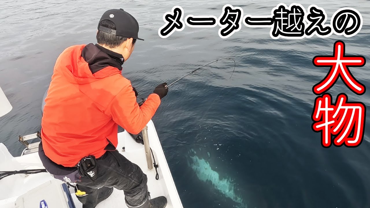 釣れた巨大魚を漁協に売ったらまさかの金額に‼