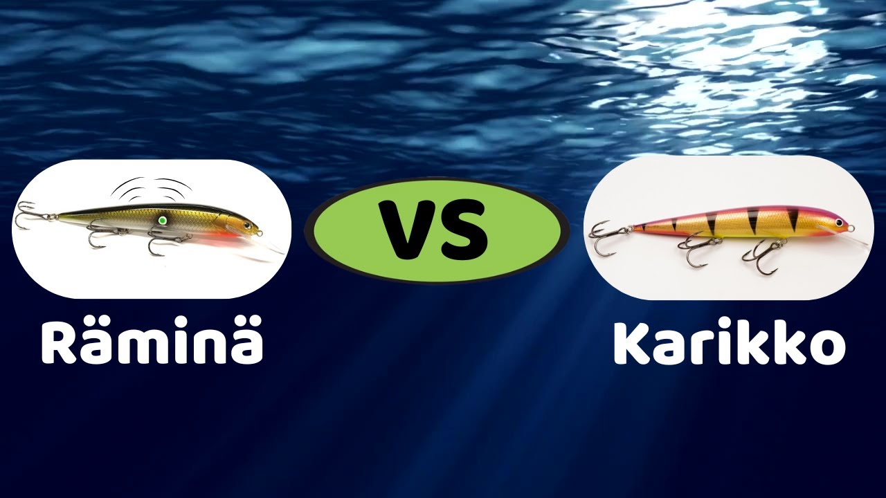 Karikko räminällä vai ilman | Kumpi toimii paremmin kuhanuistelussa -kisa!