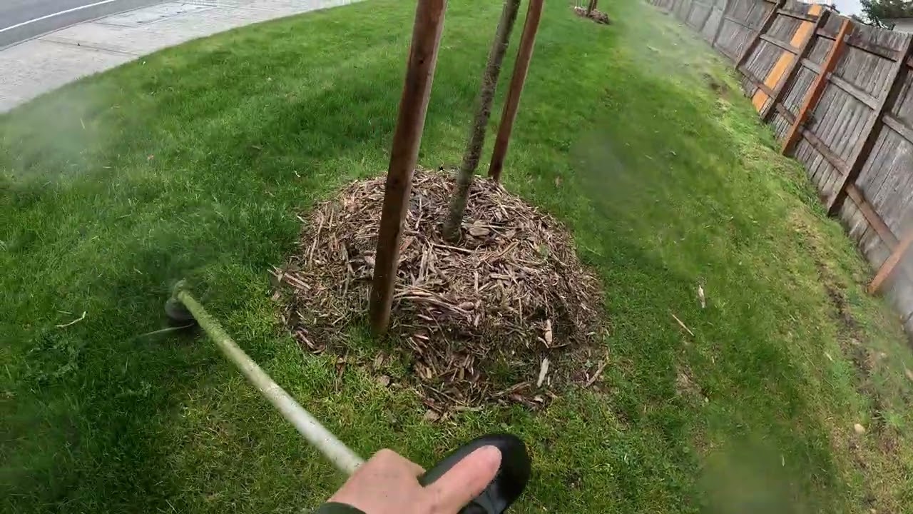 Weed Whacking Long Patch