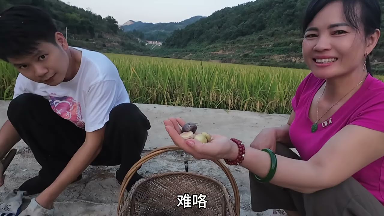 山里种的板栗被小动物全捡走了 小月带妈妈和三妹体验一把在中国市集摆摊！