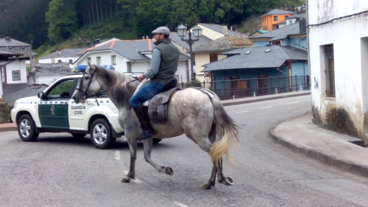 Navelgas Ruta ecuestre 2016