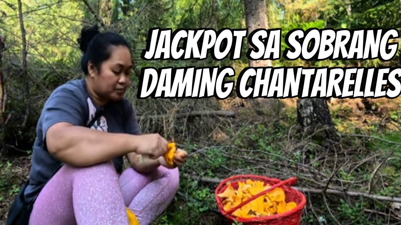 JACKPOT SA MGA KABUTE SA FINLAND | THE LINDEMANS