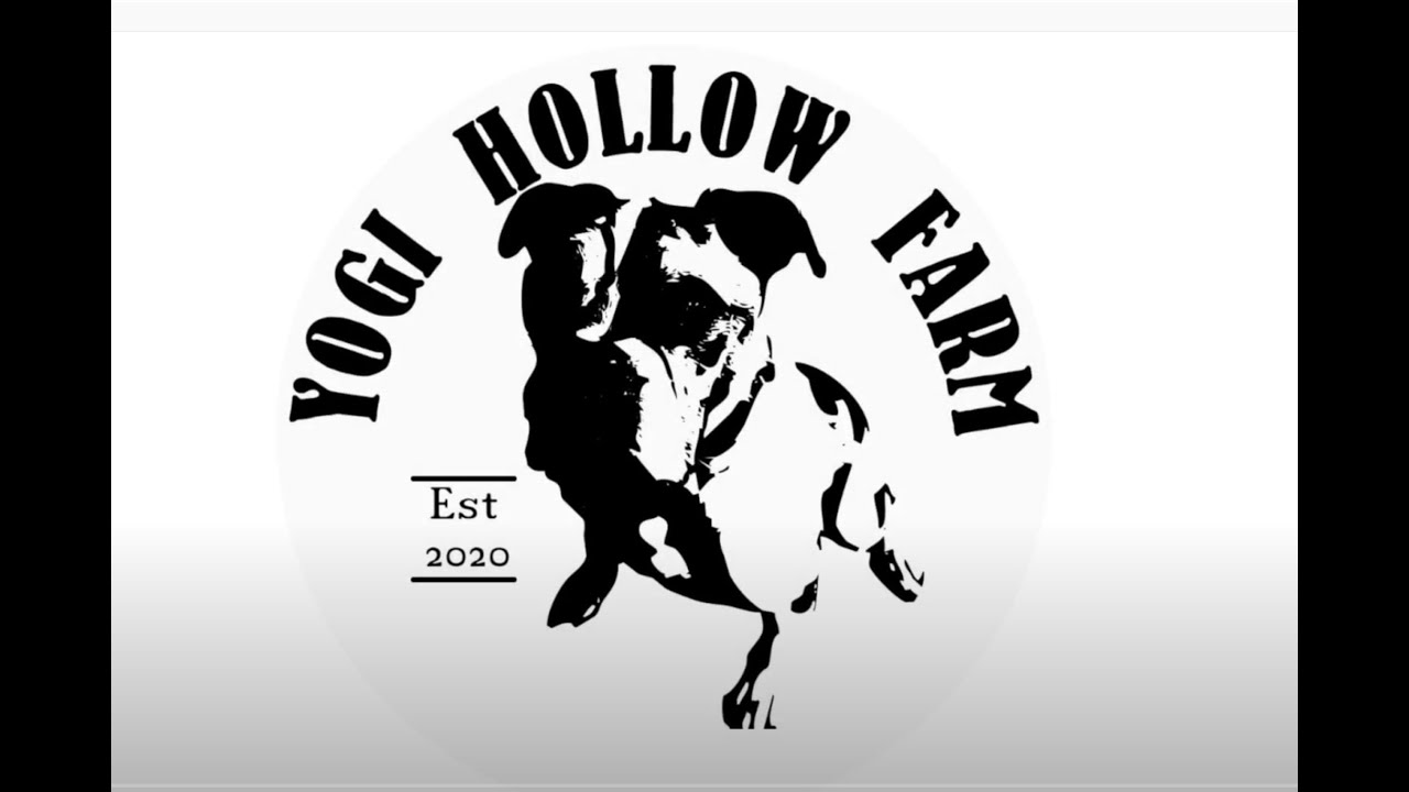 @YogiHollowFarm Today we're joined by Lisa from #YogiHollowFarm  #YouTubeTalkShow