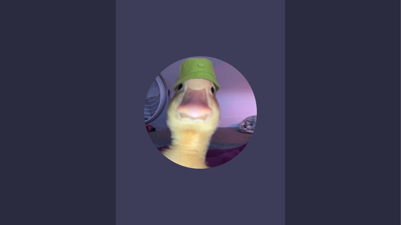 Calamity_rl is live!
