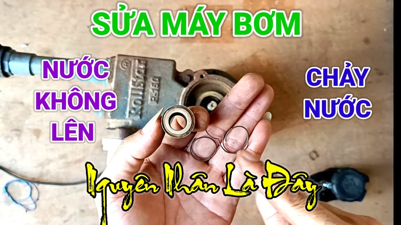 Sửa máy bơm nước không lên, chảy nước cách sửa chữa tháo thay phớt 